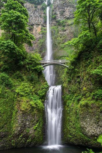 The image shows a long waterfall in a lush, green environment.