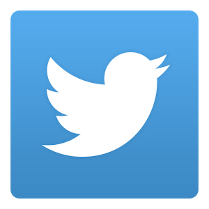 twitter logo white bird on a blue background