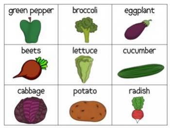 vegetable vocabulary cards