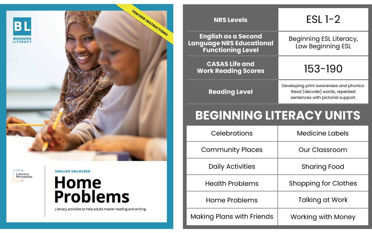 Beginning Literacy Home Problems chart