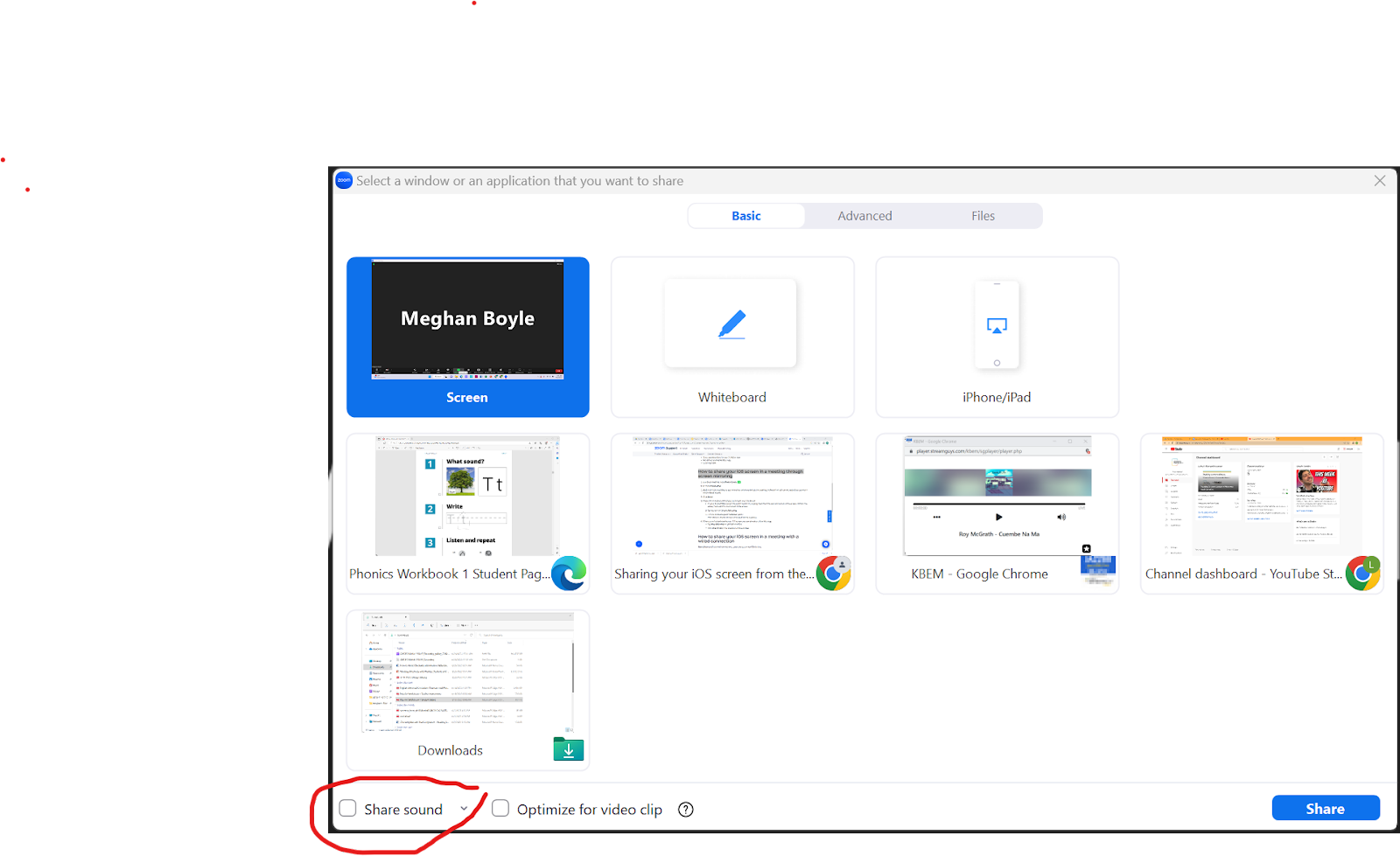 The image shows the on-screen menu that appears in Zoom with the Share Sound box circled.